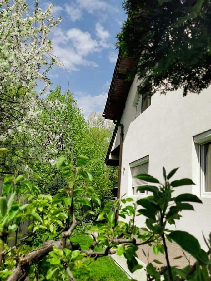 Casa File De Poveste Targu Jiu Exterior photo